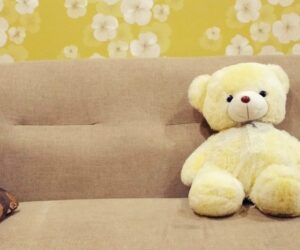 teddy-bear-g98abdc665_1920